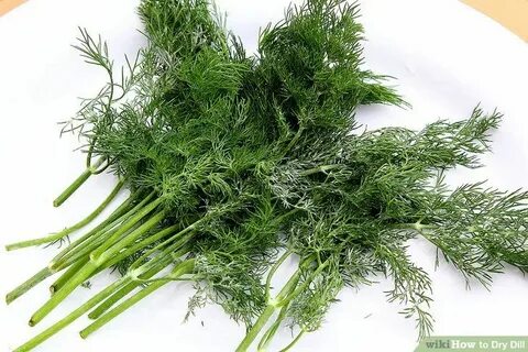 تصویر 5 از خرید عمده اینترنتی شوید خشک + قیمت مناسب